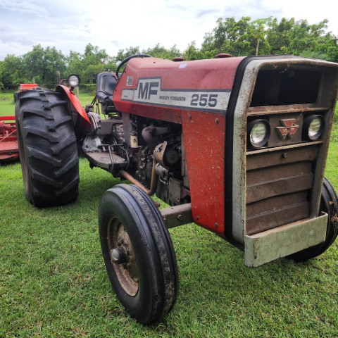 Lot 284 image