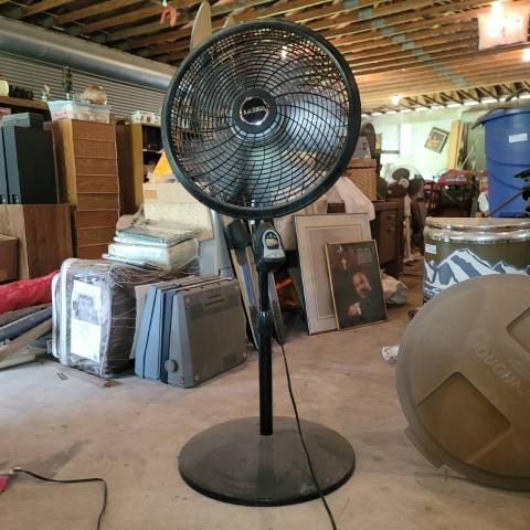 Lot 449 image