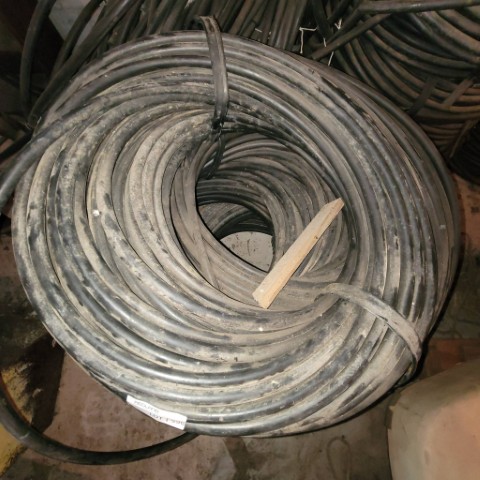 Lot 596 image